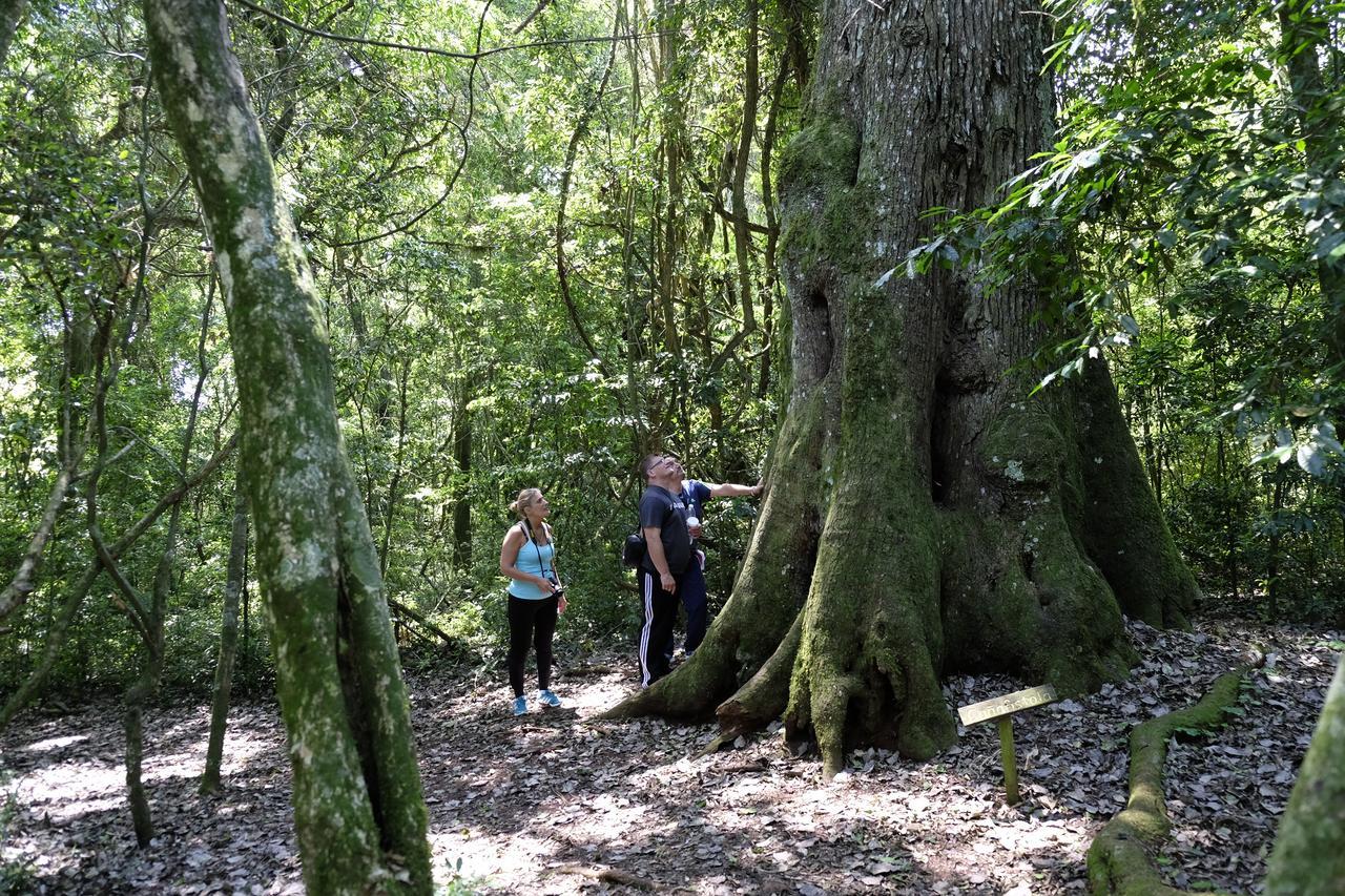 La Mision Mocona - Lodge De Selva Saltos del Moconá Kültér fotó
