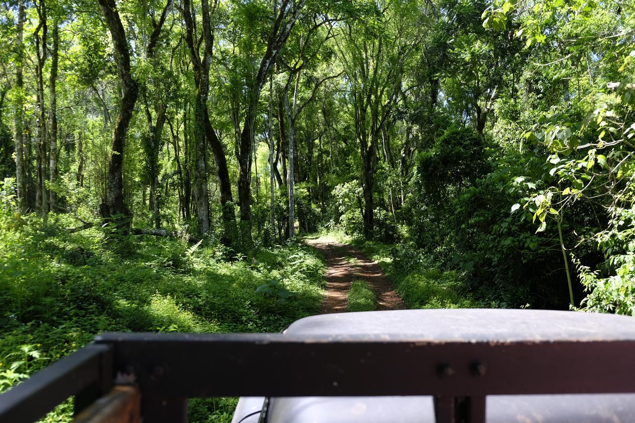 La Mision Mocona - Lodge De Selva Saltos del Moconá Kültér fotó