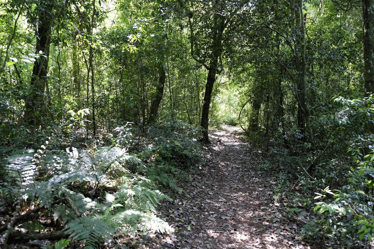 La Mision Mocona - Lodge De Selva Saltos del Moconá Kültér fotó